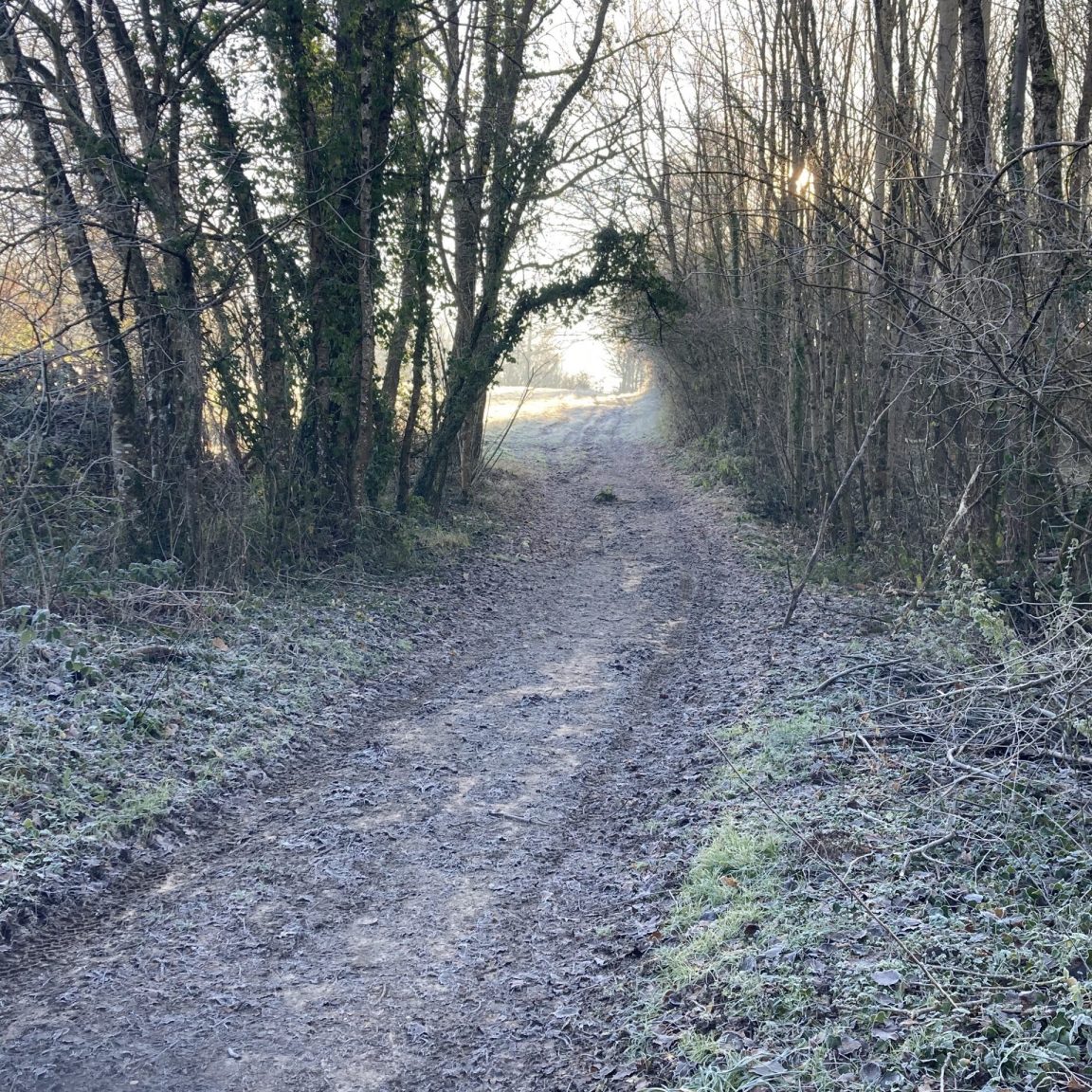 Chemins de randonnée – Commune de Semblancay